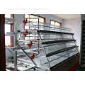 High quality breeding layer chicken cages